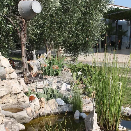 Sejuda 4* Peschici